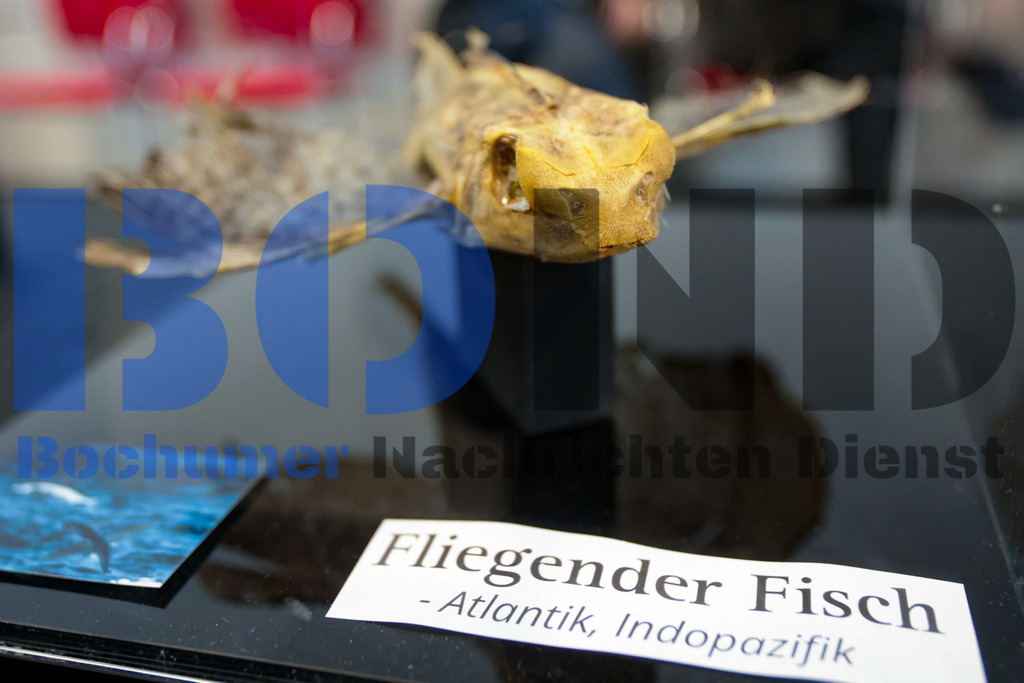 SES_INSBOC20250316-20 | bond - Realisiert mit Pictrs.com