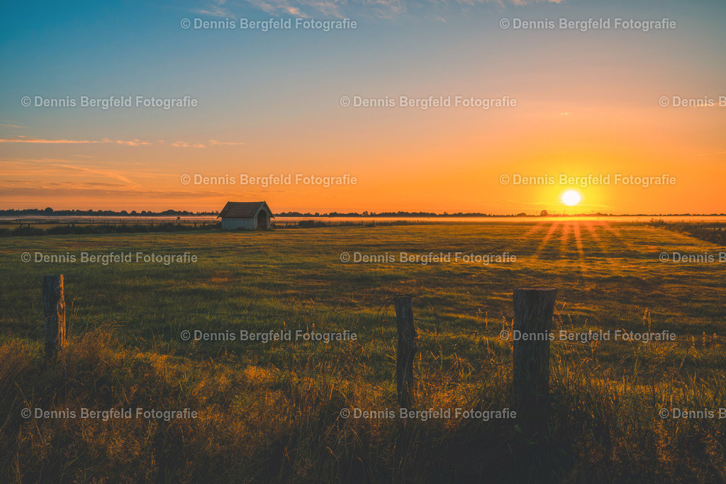 Sonnenaufgang im Recker Moor 3 | Entdecken Sie Natur, Makro und Tierfotografie von Dennis Bergfeld.Besondere Momente und Details der Natur, hochwertig als Foto und Wandbild erhältlich. - Realisiert mit Pictrs.com