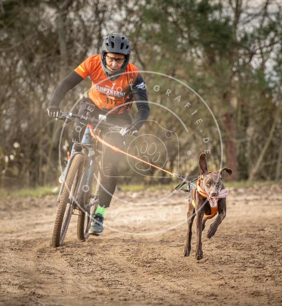Pfotenfotografie_DV3A7625 | Hundefotografie, Tierfotograf, Pfotenfotografie, Fotoshooting Hund, Hunde Portrait, Hundesport, Hundeportraits, Heideshooting, Hunde, Sportfotograf, Hundefotograf, Turnierhundsport, THS,  - Realisiert mit Pictrs.com