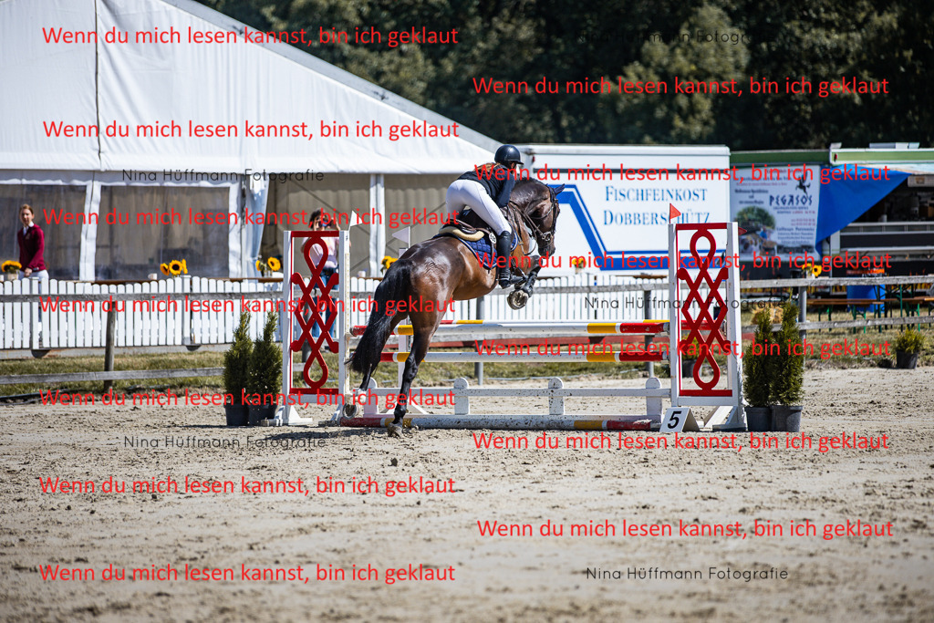 BK1A5231 | Turnierbilder Turnierfotos Nina Hüffmann Turnierfotografie Pferdefotografie Tierzeichnung Haustierzeichnung Pferdezeichnung Hundezeichnung Videograf  - Realisiert mit Pictrs.com