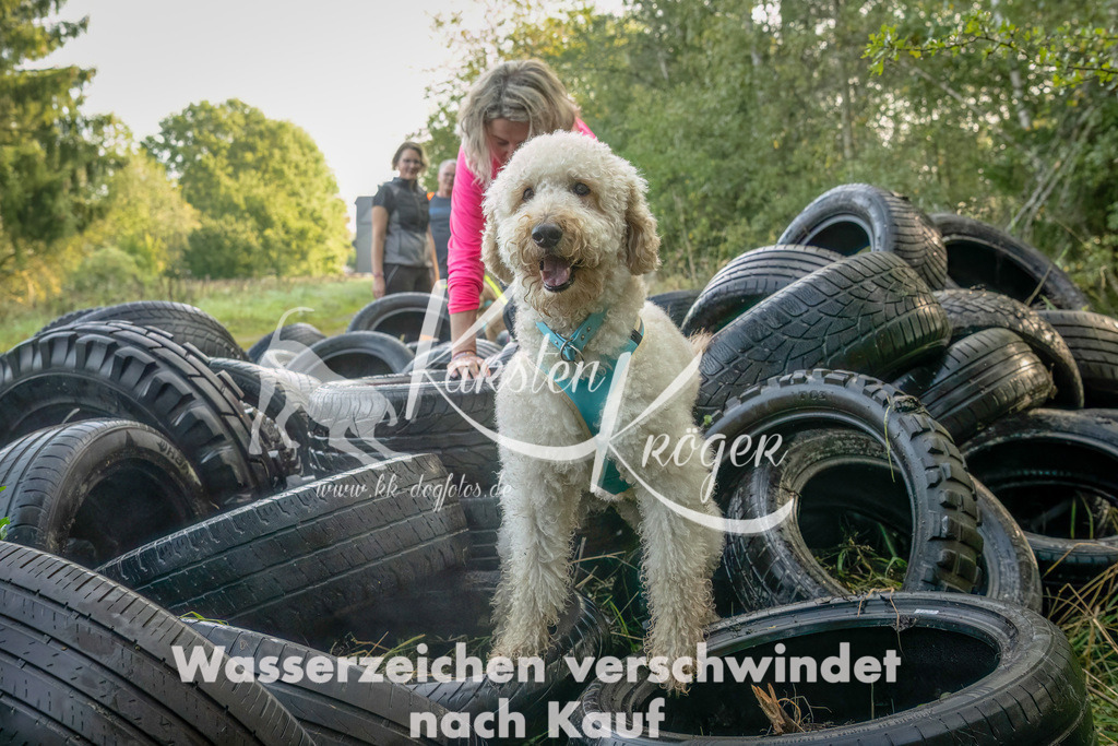 1016_ZZ94181-Bearbeitet | kk-dogfotos