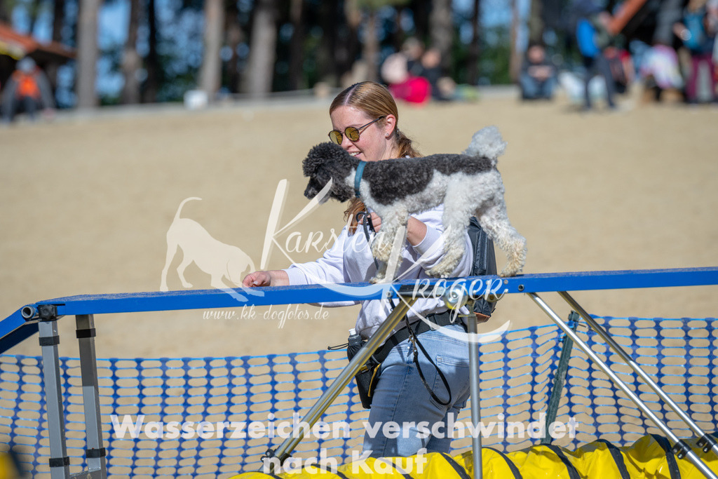 1331_ZZ90247 | kk-dogfotos