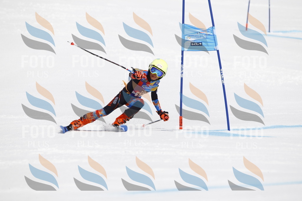 _U3G4807 | holidayphoto