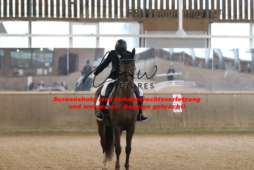 IMG_6353 | lmwpictures - Realisiert mit Pictrs.com