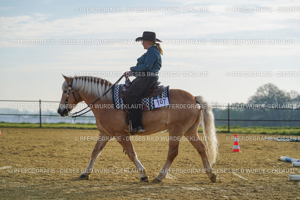 DSC00316 | Pferdegrafie