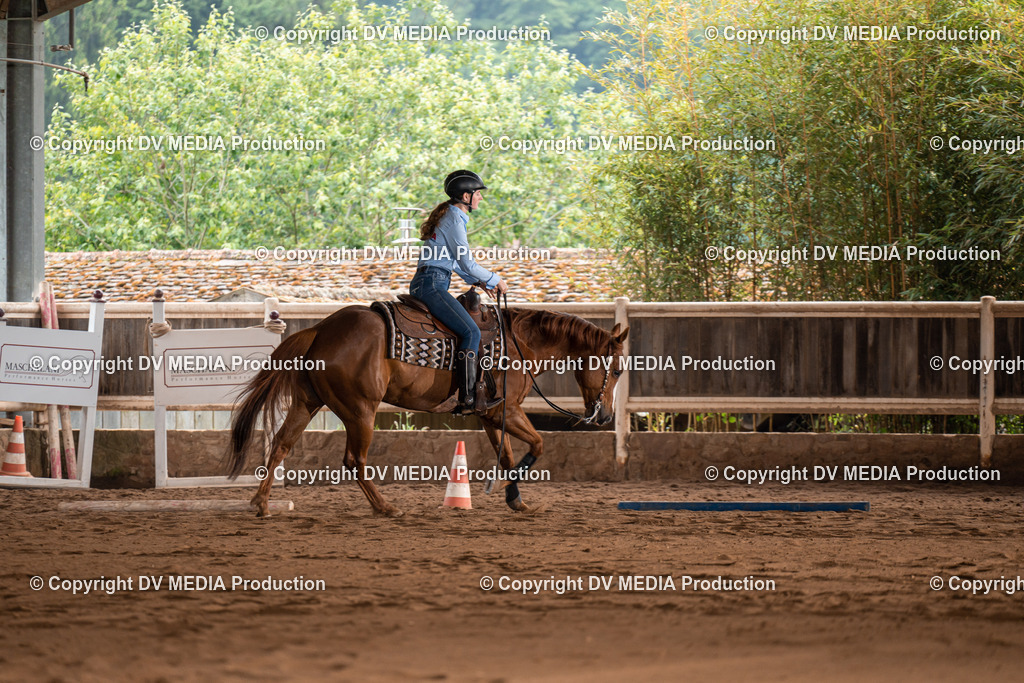 Erbach Tag 2-434 | dv-media-shop - Realisiert mit Pictrs.com