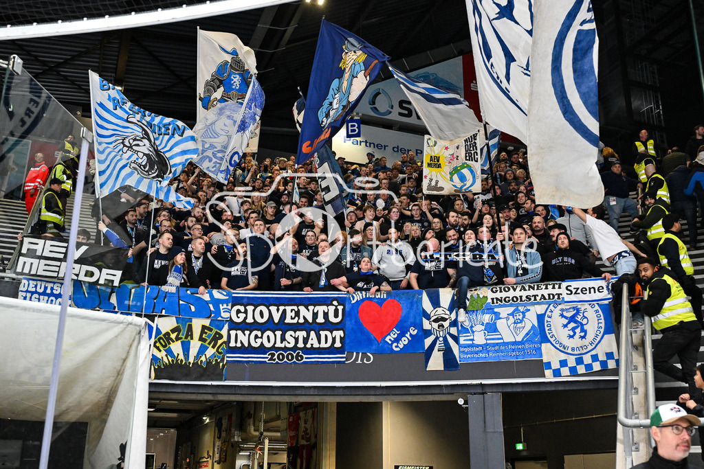 Augsburger Panther - ERC Ingolstadt | AUGSBURG, GERMANY - 12. DECEMBER: Die Mannschaft der Schanzer feiert zusammen mit den Fans den Auswärtssieg in Augsburg nach dem Match zwischen den Augsburger Panthern und dem ERC Ingolstadt am 27. Spieltag der Penny DEL im Curt Frenzel Stadion