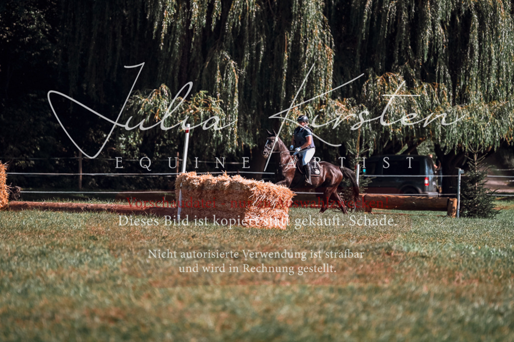 DSC_0591 | Pferde- und Turnierfotografie in Westsachsen. Pferdeportraits, Auftragszeichnungen und intuitive Kunst.