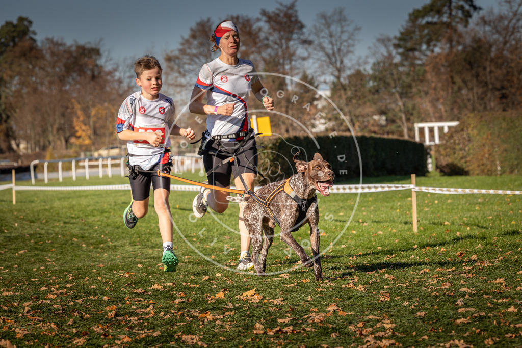 CaniXpix_0L8A6664 | Hundefotografie, Tierfotograf, Pfotenfotografie, Fotoshooting Hund, Hunde Portrait, Hundesport, Hundeportraits, Heideshooting, Hunde, Sportfotograf, Hundefotograf, Turnierhundsport, THS,  - Realisiert mit Pictrs.com