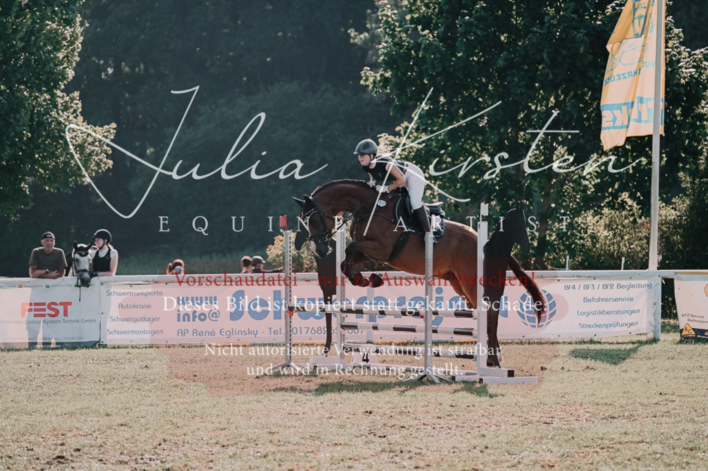 DSC_4661 | Pferde- und Turnierfotografie in Westsachsen. Pferdeportraits, Auftragszeichnungen und intuitive Kunst.