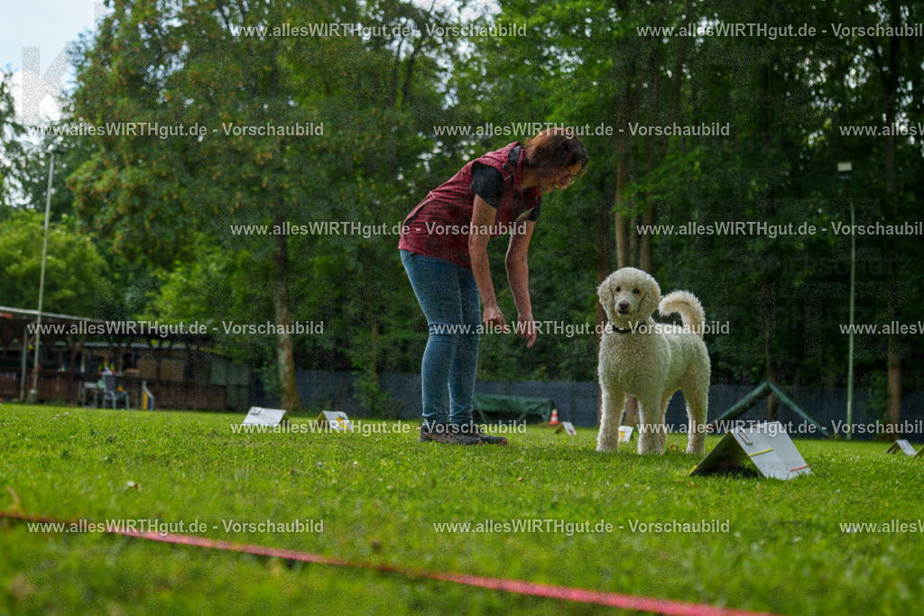 @allesWIRTHgut_Tierfotografie - www.allesWIRTHgut.de - 7R505233 | Professionelle Tierfotografie in Mönchengladbach von Daniel Wirth (allesWIRTHgut). Liebevolle & natürliche Bilder von Hunden & Katzen für unvergessliche Erinnerungen.