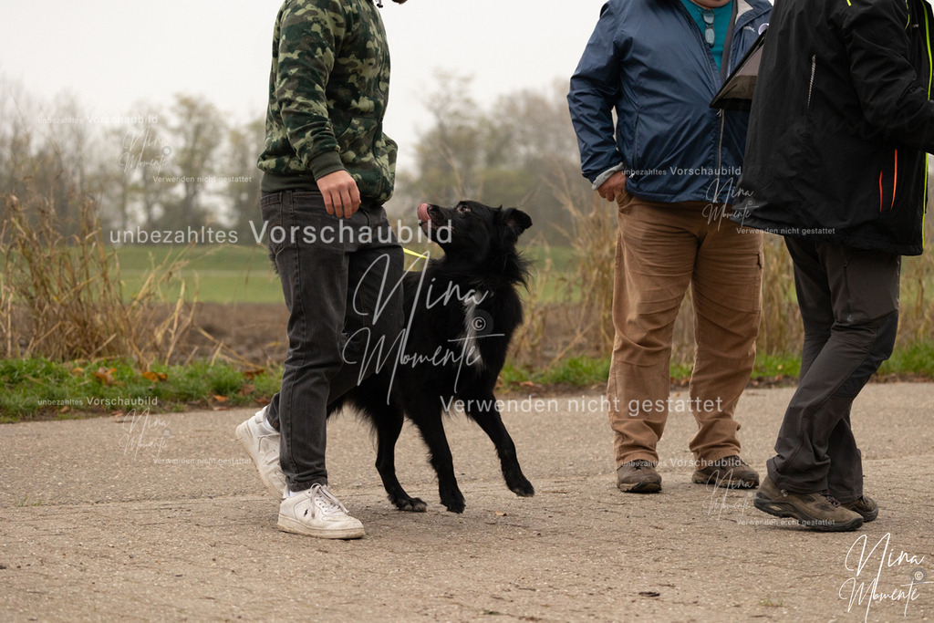 _16A0484 | Einzigartige Fotos von Hunden & Menschen –Actionfotos, Portraits, Vereinsaufnahmen & Paarshootings – authentisch, lebendig & mit Herz.