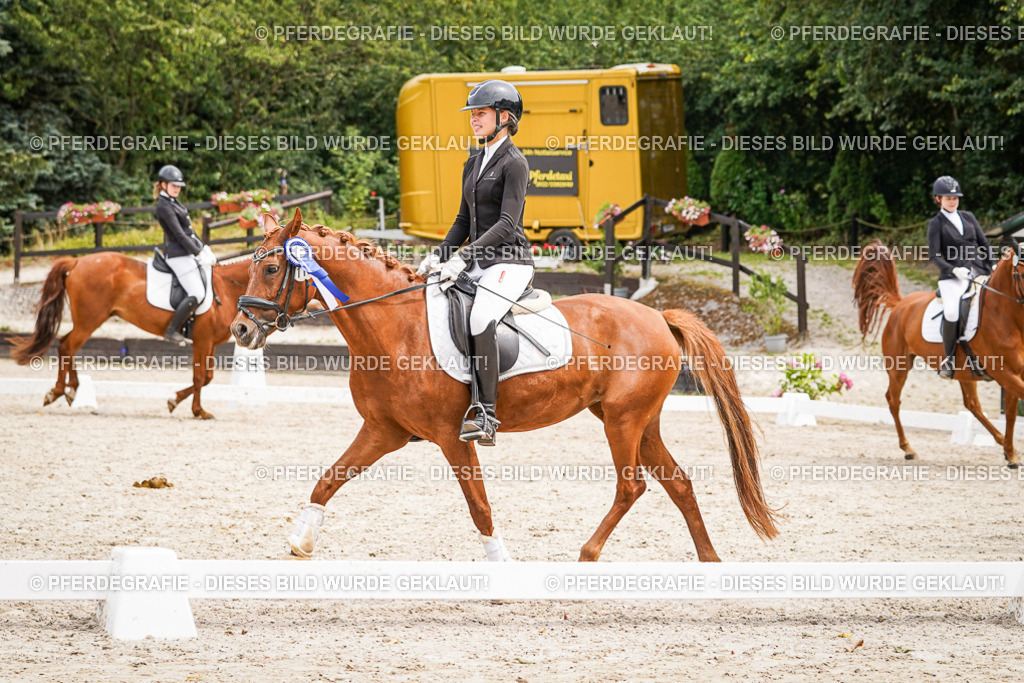 DSC04647 | Pferdegrafie