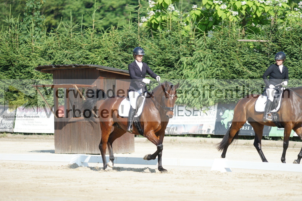 DSC01313 | equestrian-live-com