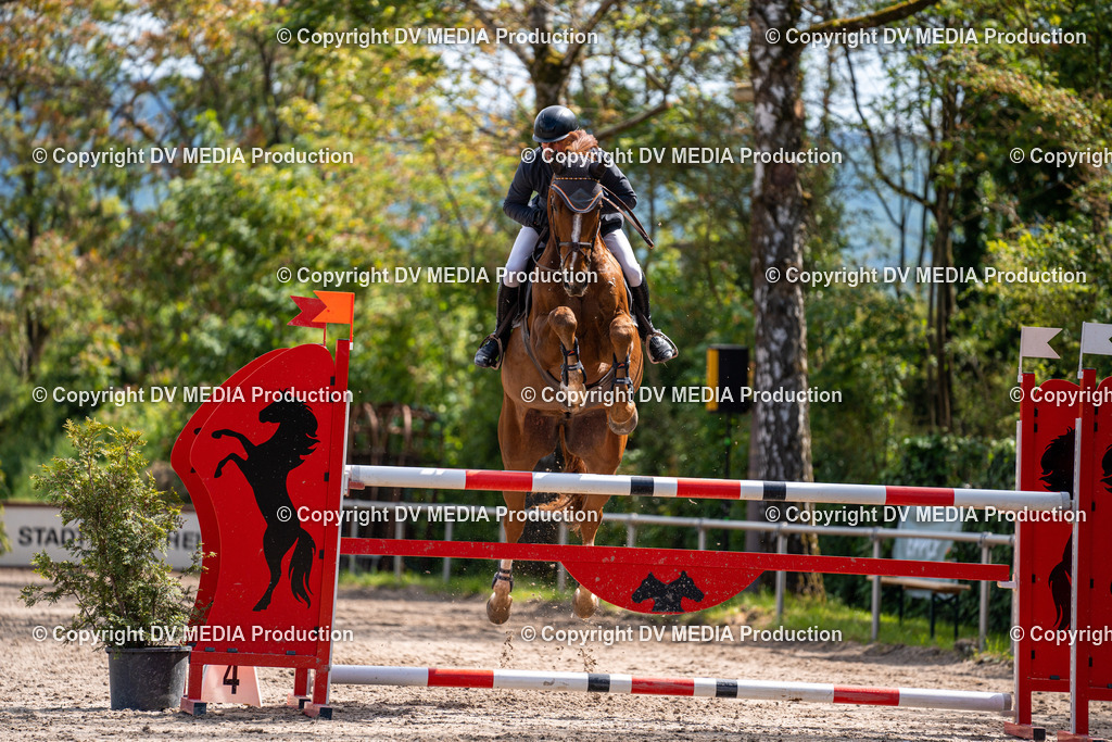 Eppelheim Tag 2-211 | dv-media-shop - Realisiert mit Pictrs.com