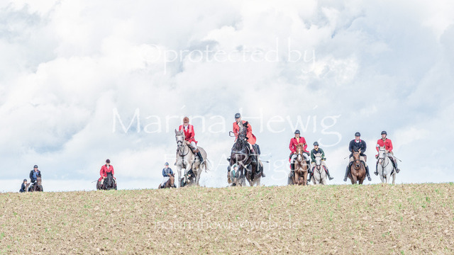 Jagd Knoop 26-386_MarinaHewig | Fotografie, FotoArt, PferdesportArt, Pferdesportfotografie, Landschaftsfotografie, Reisefotografie, Reise, Pferde - Realisiert mit Pictrs.com