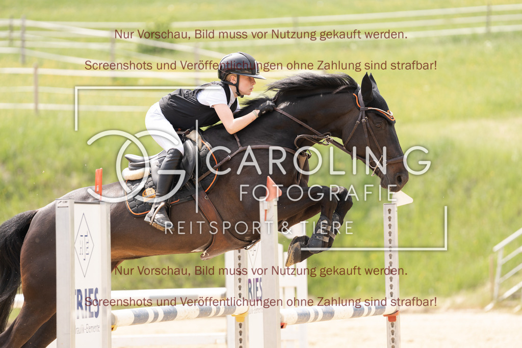 DSC06641 | Springturnier_Ehingen_Mai_2026, Paulina_Dudik, Laerke