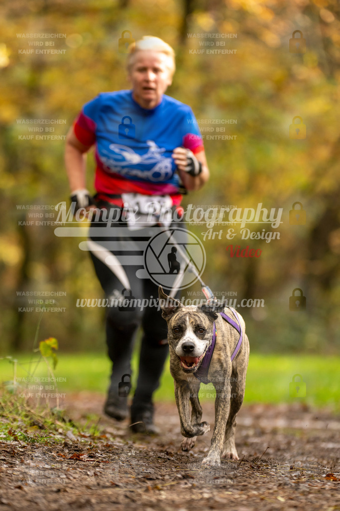 MompixPhotography_Bischwiller23_Canicross-142 | PayLife