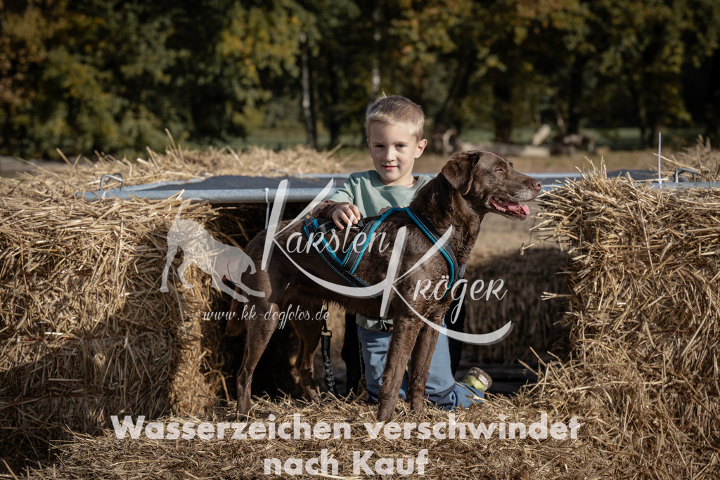 1157_ZZ93144 | kk-dogfotos