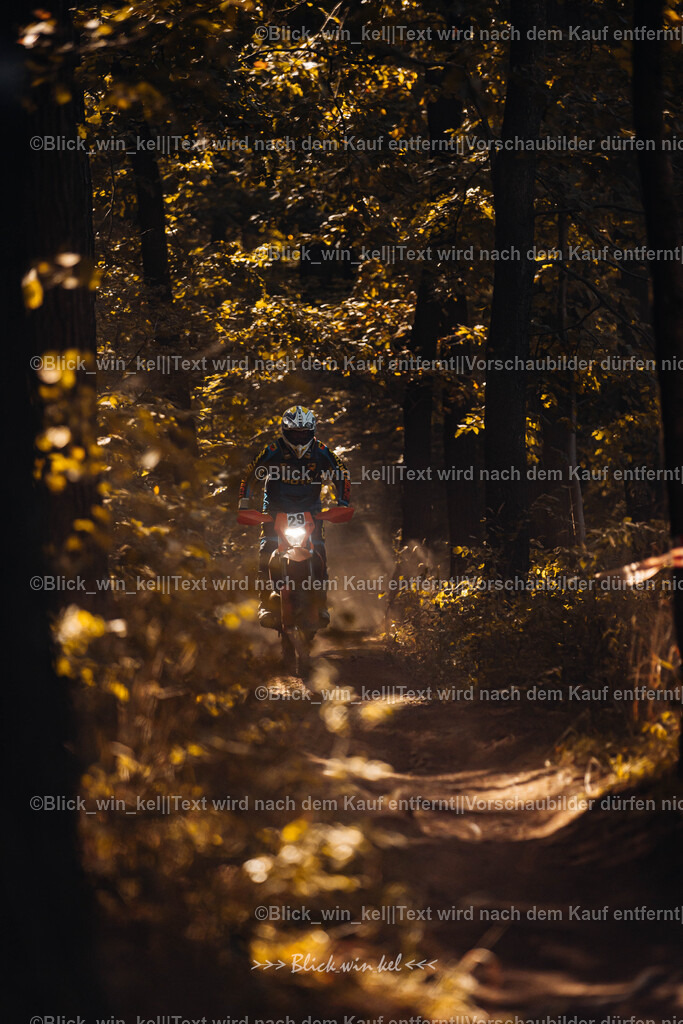 E68A6456 | blick_win_kel