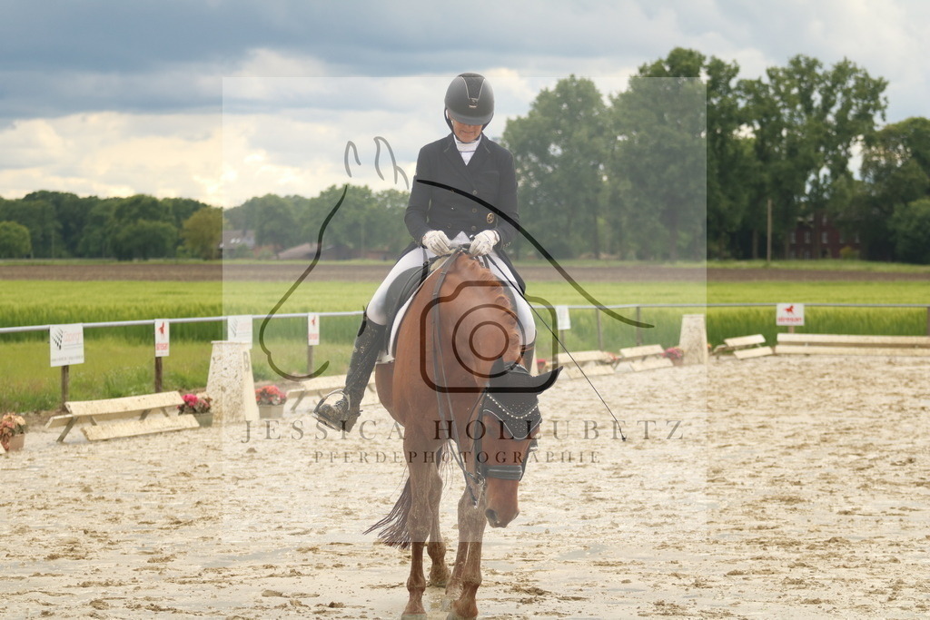 IMG_1242 | jessicahollubetz_pferdephotographie - Realisiert mit Pictrs.com