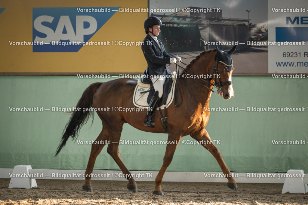 _D5A3110 | Emotionale Pferde- & People-Fotografie rund um Heidelberg, Leimen & Umgebung. Natürliche Fotos von Pferd, Mensch & Familie. Jetzt Termin sichern!