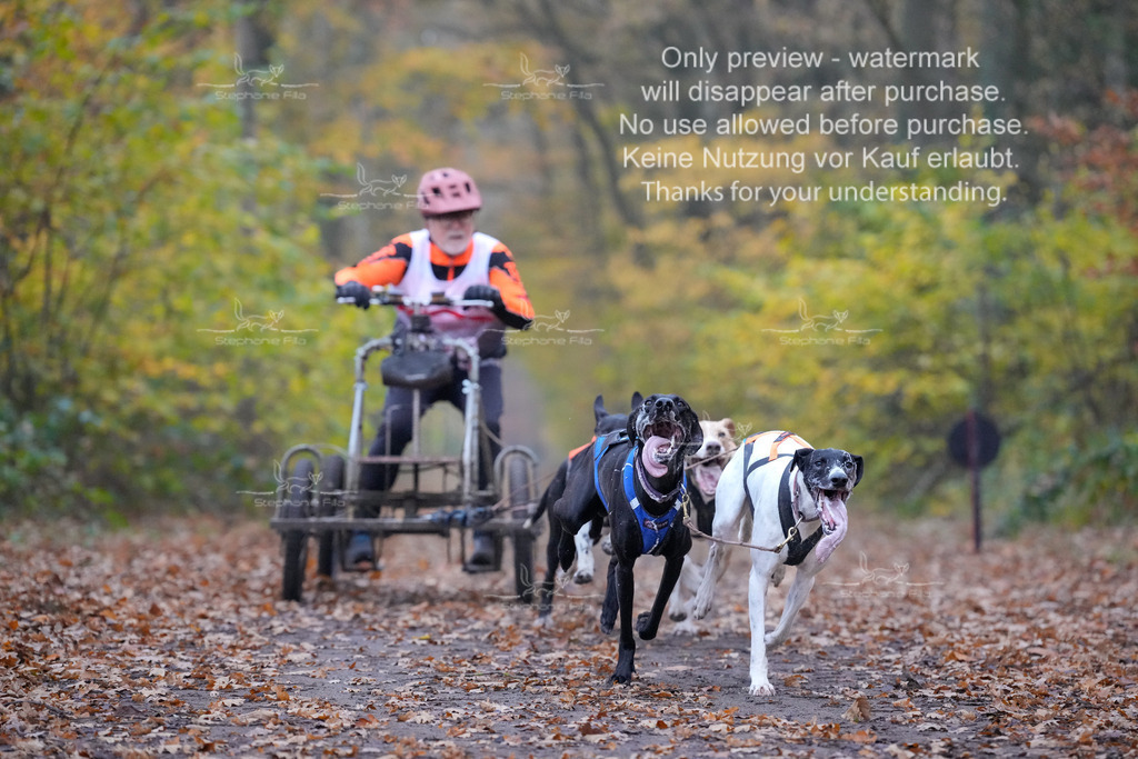 Rigs4bis8So-26 | stephaniefillaphotographie - Realisiert mit Pictrs.com