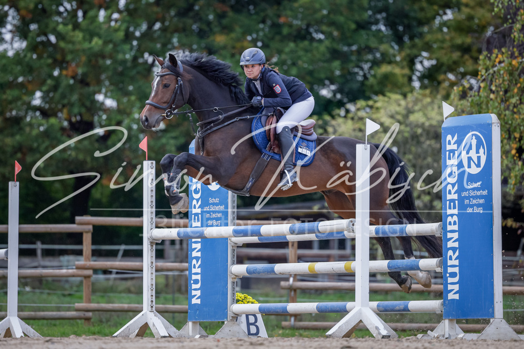 20251012-_3LI5170 | Tierfotografie Pferde, Hunde, Katzen, Haustiere.
Turnierfotografie Reitturniere, Reiten, Springreiten, Dressur in Hanau, dem Main-Kinzig-Kreis und dem Rhein-Main- Gebiet um Frankfurt
