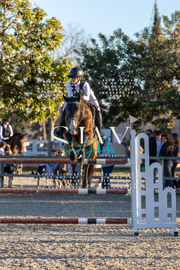 IMG_2855 | s-jay-photography - Realisiert mit Pictrs.com