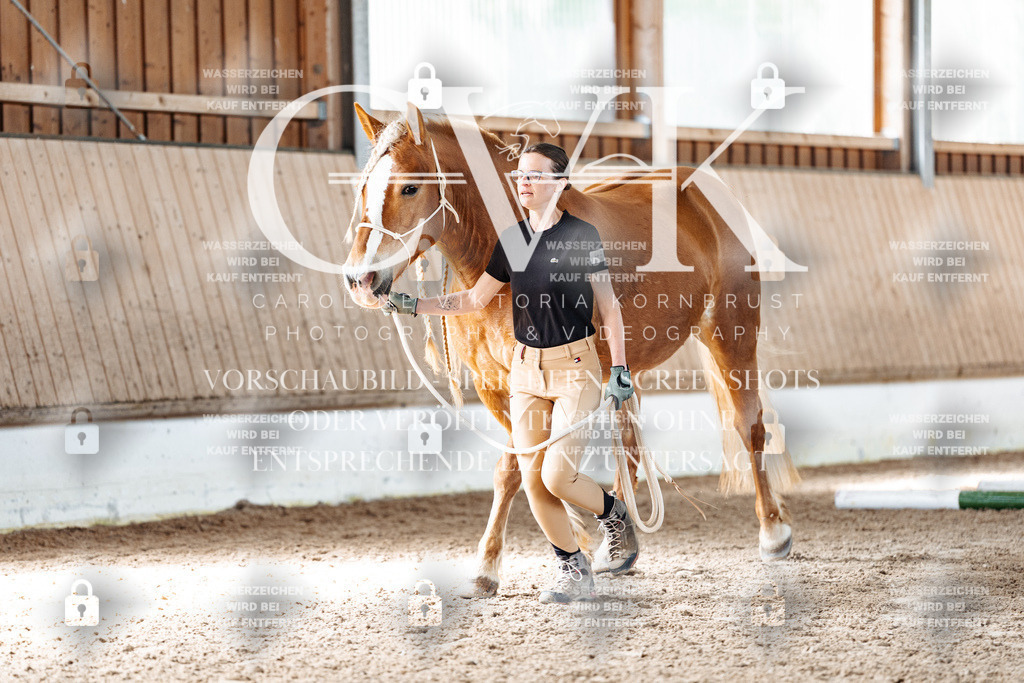 CK905918 | Turnierfotografie Pferdefotografie Trier Rheinland-Pfalz Pferdesport Reitsport Tierfotografie Sportfotografie Pferdevideo Pferdevideografie Equestrianvideography equestrianphotography  - Realisiert mit Pictrs.com