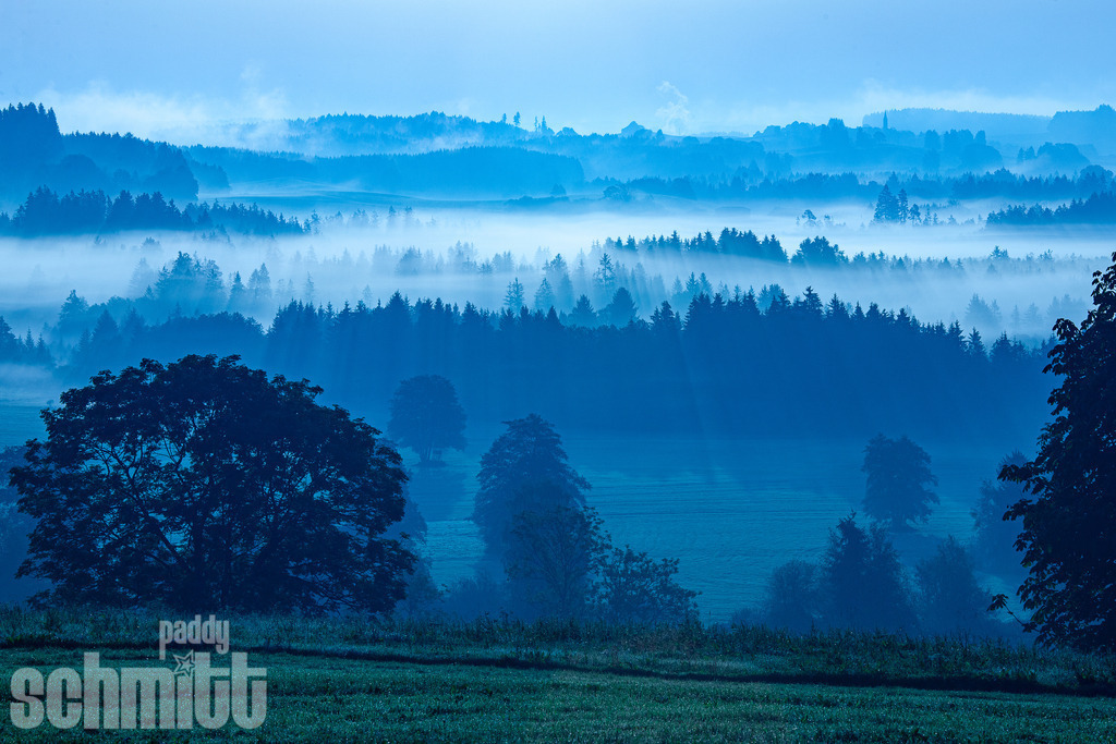 Morgennebel über dem Gründlenried im Allgäu | Sanfter Morgennebel liegt über dem Gründlenried im Allgäu und taucht die Landschaft in eine stille, mystische Atmosphäre. - Realisiert mit Pictrs.com