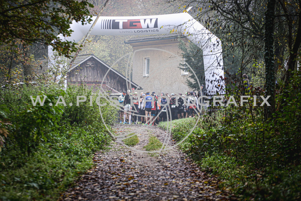 ..... | AUSTRIA, 09.11.24, Leonding,TGW KÜRNBERGTRAILRUN, Image shows: Photo: Wapics / Andreas Willdoner