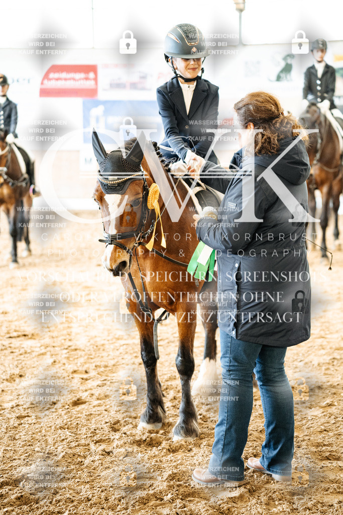CK703112 | Turnierfotografie Pferdefotografie Trier Rheinland-Pfalz Pferdesport Reitsport Tierfotografie Sportfotografie Pferdevideo Pferdevideografie Equestrianvideography equestrianphotography  - Realized with Pictrs.com