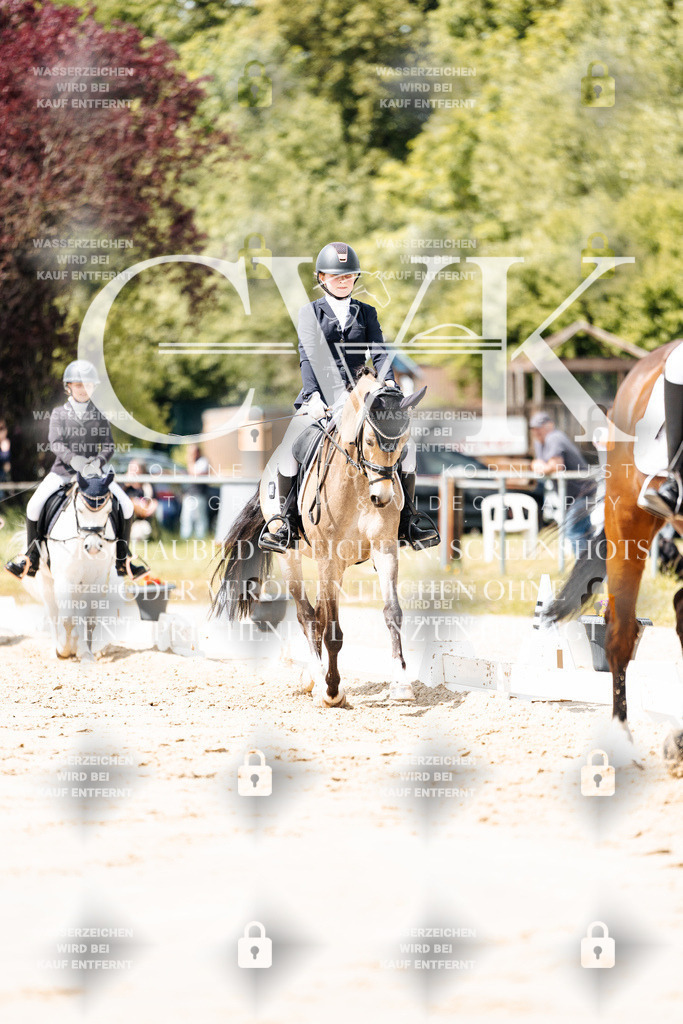 CK901885 | Turnierfotografie Pferdefotografie Trier Rheinland-Pfalz Pferdesport Reitsport Tierfotografie Sportfotografie Pferdevideo Pferdevideografie Equestrianvideography equestrianphotography  - Realisiert mit Pictrs.com