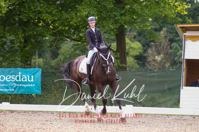 DKP42097 | Turniersportfotografie; Pferdefotografie; Dressurfotografie