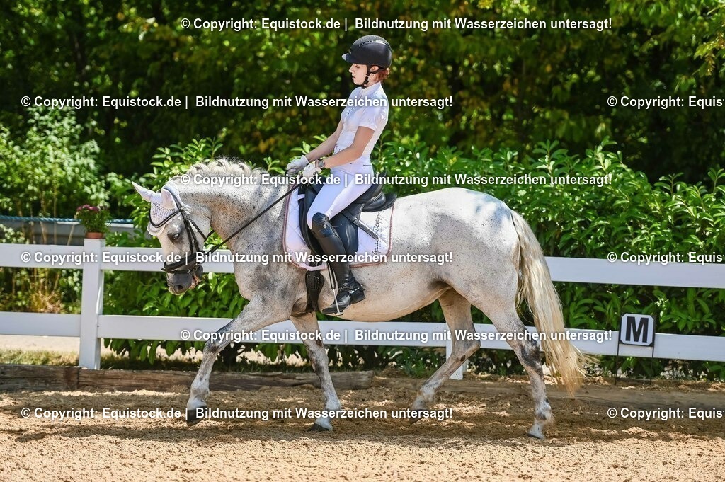 20230715_09_Dressur-WB_0323 | equistock