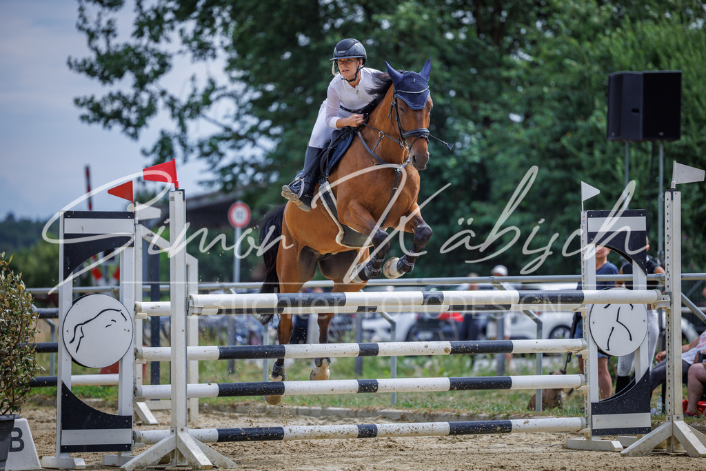 20260705-_3LI6606 | Tierfotografie Pferde, Hunde, Katzen, Haustiere.
Turnierfotografie Reitturniere, Reiten, Springreiten, Dressur in Hanau, dem Main-Kinzig-Kreis und dem Rhein-Main- Gebiet um Frankfurt
