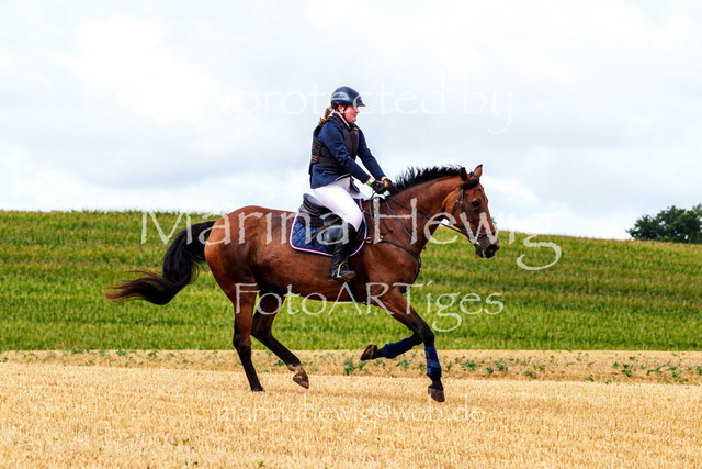 Jagd Knoop 26_MarinaHewigMCH02343 | Fotografie, FotoArt, PferdesportArt, Pferdesportfotografie, Landschaftsfotografie, Reisefotografie, Reise, Pferde - Realisiert mit Pictrs.com