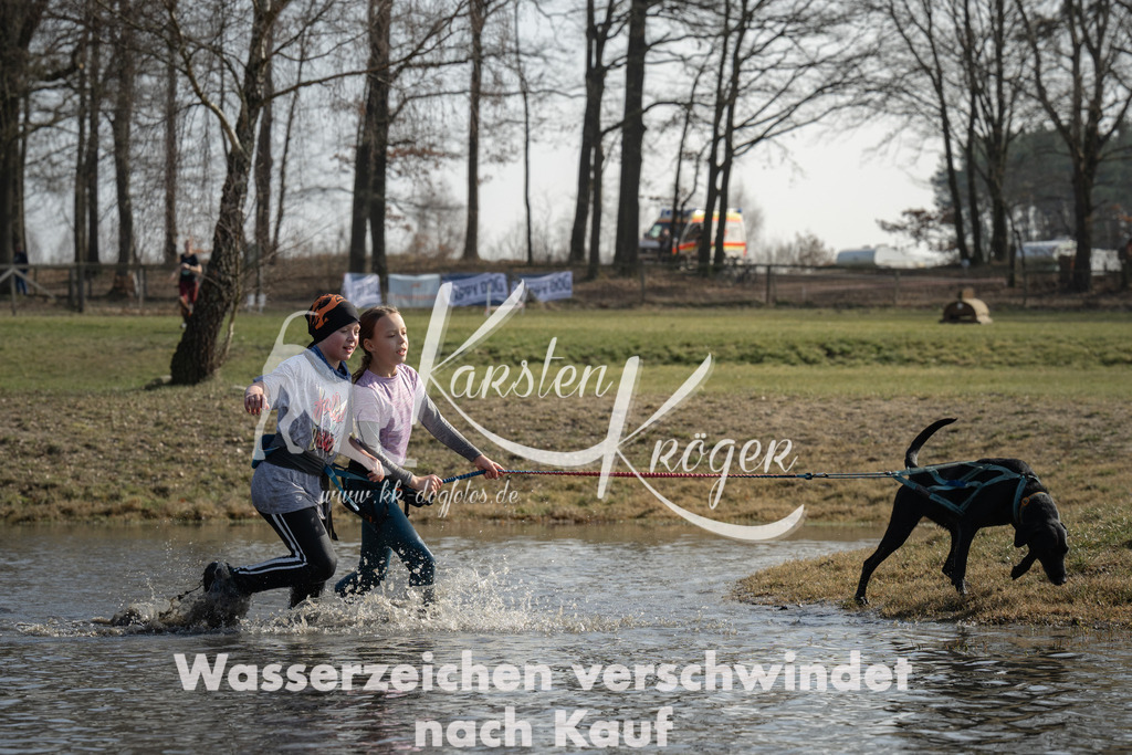 1323_ZZ96067 | kk-dogfotos