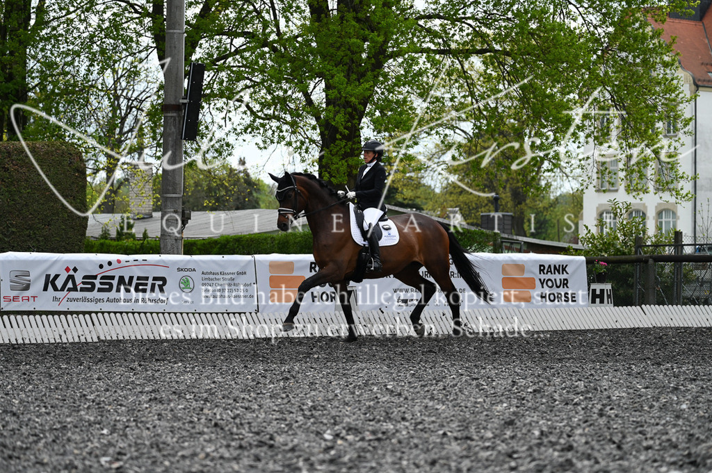 20230512_JK-Röhrsdorf-08-015 | Pferde- und Turnierfotografie in Westsachsen. Pferdeportraits, Auftragszeichnungen und intuitive Kunst.