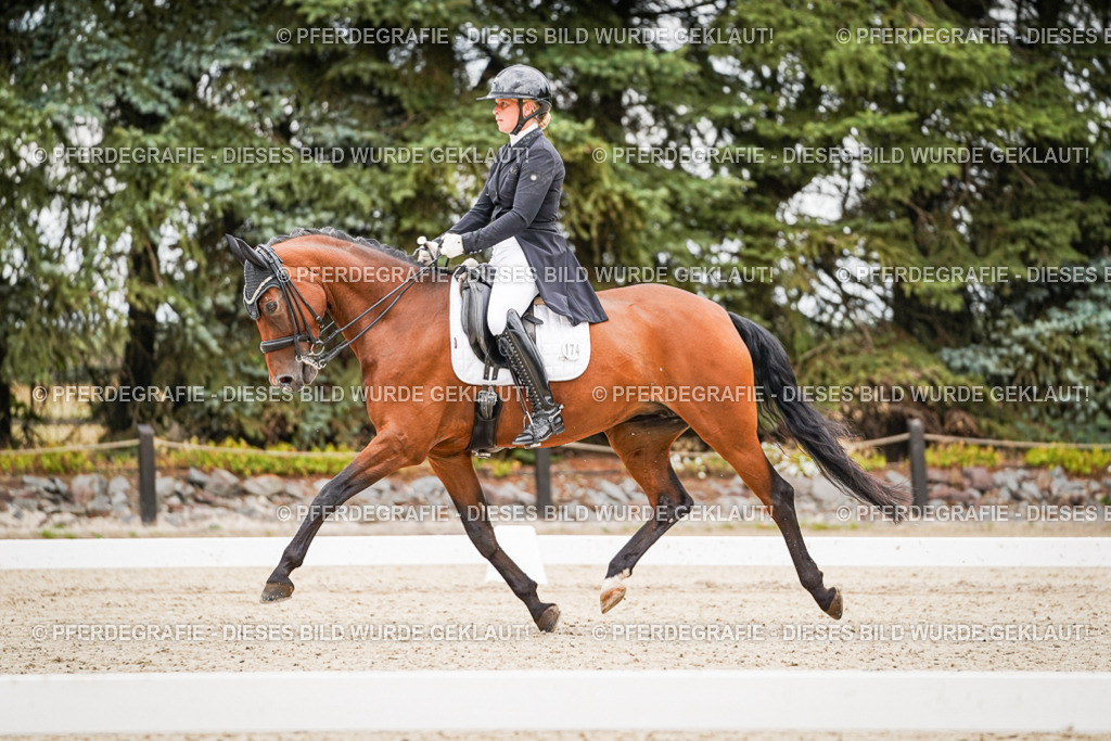 DSC07207 | Pferdegrafie