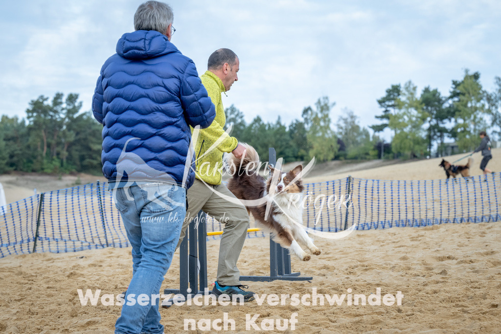 0924_ZZ92335 | kk-dogfotos