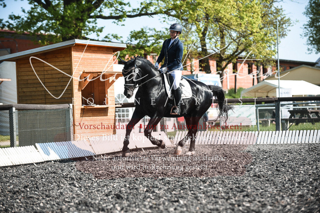 DSC_8485 | Pferde- und Turnierfotografie in Westsachsen. Pferdeportraits, Auftragszeichnungen und intuitive Kunst.