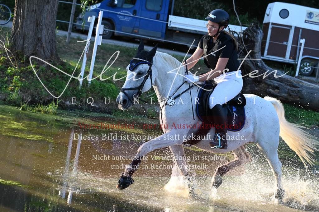 DSC_9211 | Pferde- und Turnierfotografie in Westsachsen. Pferdeportraits, Auftragszeichnungen und intuitive Kunst.