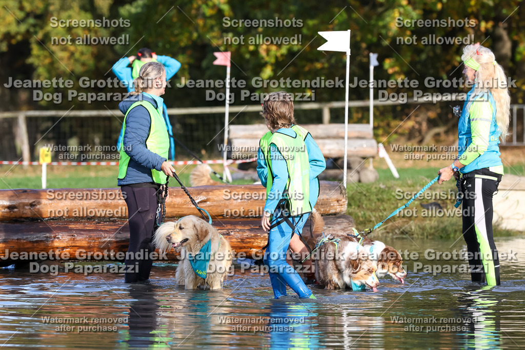 Dog Paparazzi - Strongdog 10-25-8471 | Dog Paparazzi Jeanette Grottendiek Fotografie & Videografie - Realisiert mit Pictrs.com