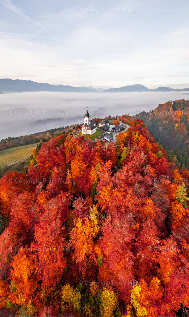 Sternberg_Herbst-330 | piet_flosse