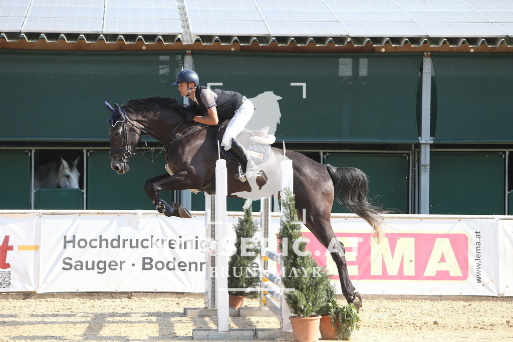 DL2Q0108 | Willkommen bei Brunnmayr - Design & Fotografie – Ihrem Spezialisten für Reitturniere und Pferdeveranstaltungen in Oberösterreich, Salzburg und Bayern! Seit über 17 Jahren sind wir leidenschaftlich dabei.