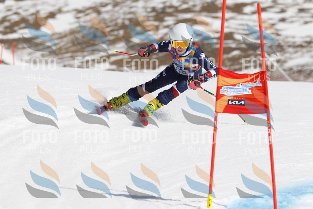 _U3G0677 | holidayphoto