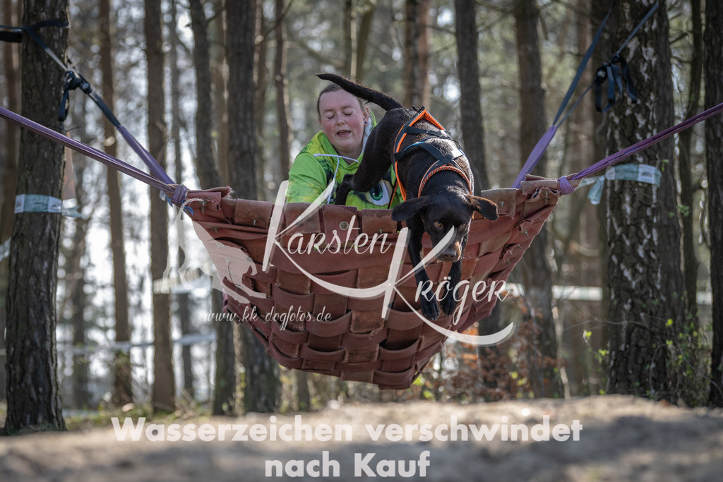 1014DSC_5451 | kk-dogfotos