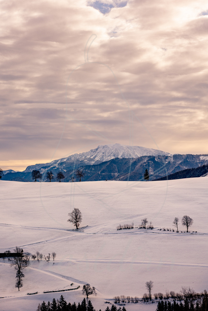 Ötscherblick vom Franzenreith | Bei Veröffentlichung des Bildes ist eine Namensnennung wie folgt erforderlich: 
Foto: Mostdirn Irmgard Wieser
 - Realisiert mit Pictrs.com